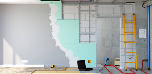 Best Post-Construction Mold Inspection  in Lakeport, CA